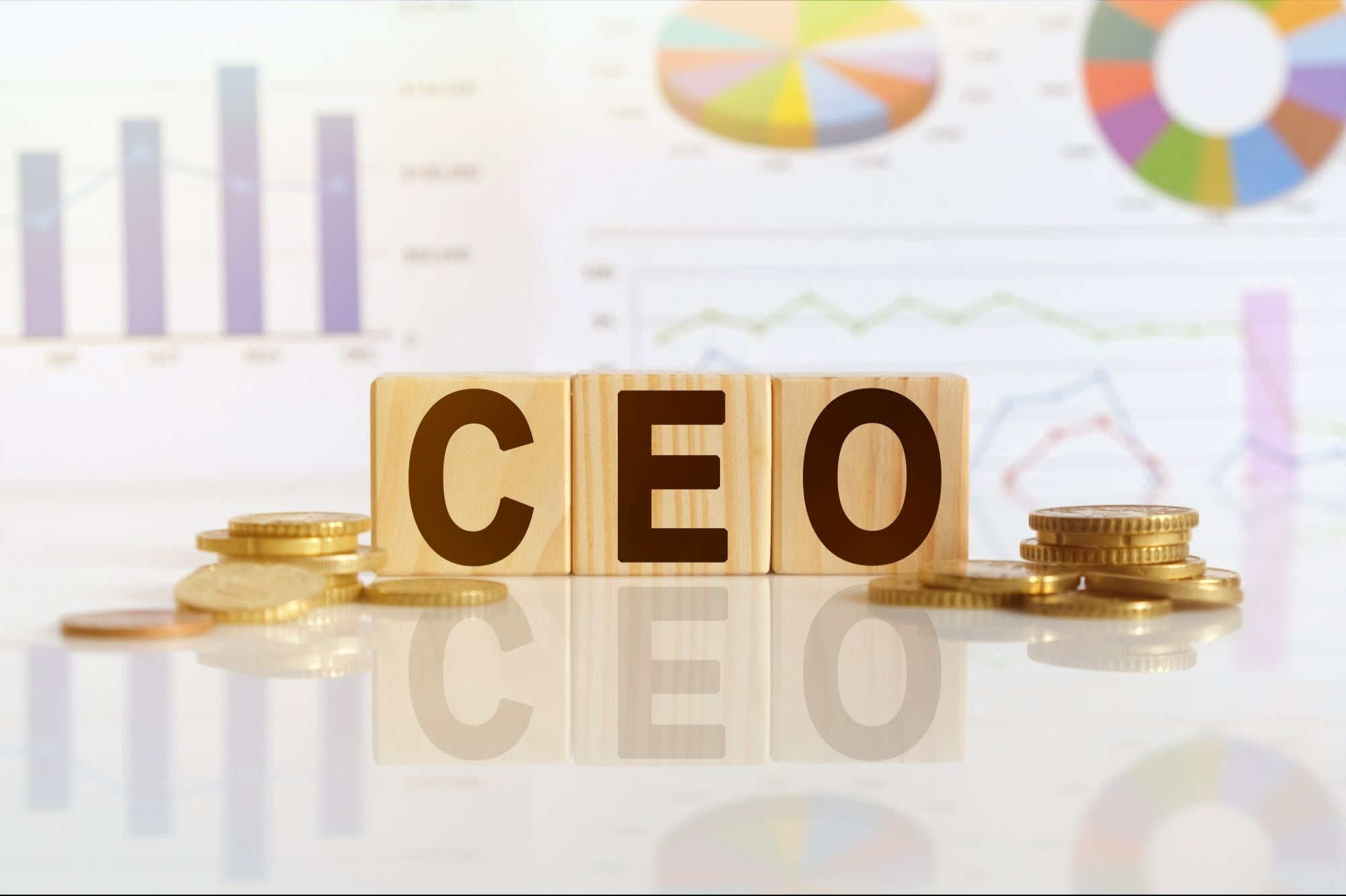 From PAYE to CEO