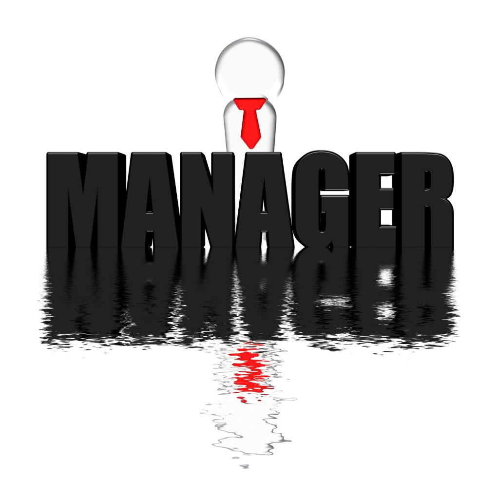Middle Managers: The Unsung Heroes of the Net Zero Transition ...